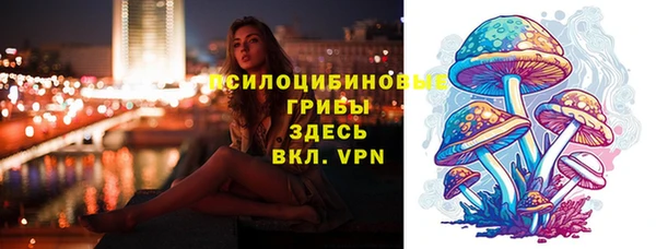 амф Алзамай