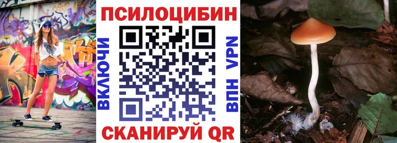 МЕГА рабочий сайт  маркетплейс наркотические препараты  Псилоцибиновые грибы Magic Shrooms  Чистополь 