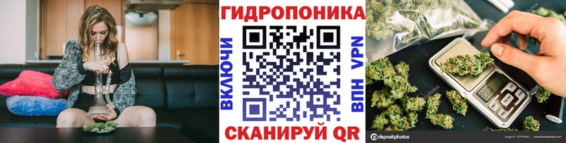 дарк нет наркотические препараты  Чистополь  Канабис OG Kush  где купить наркоту 